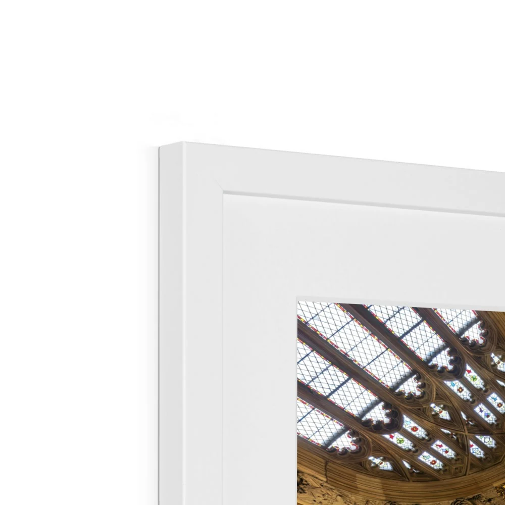 Central Lobby Ceiling Framed & Mounted Print - Image 8