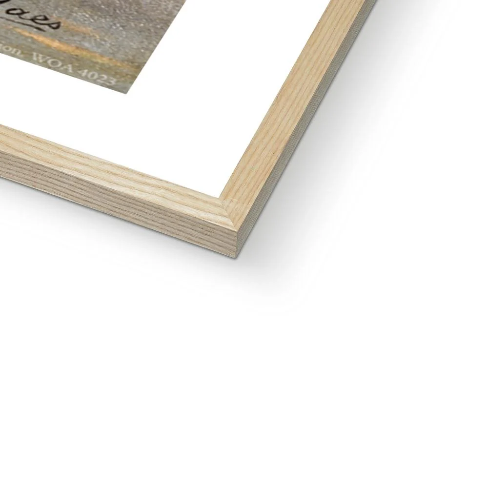 The Arrival of Cleopatra's Needle Framed Print - Image 6