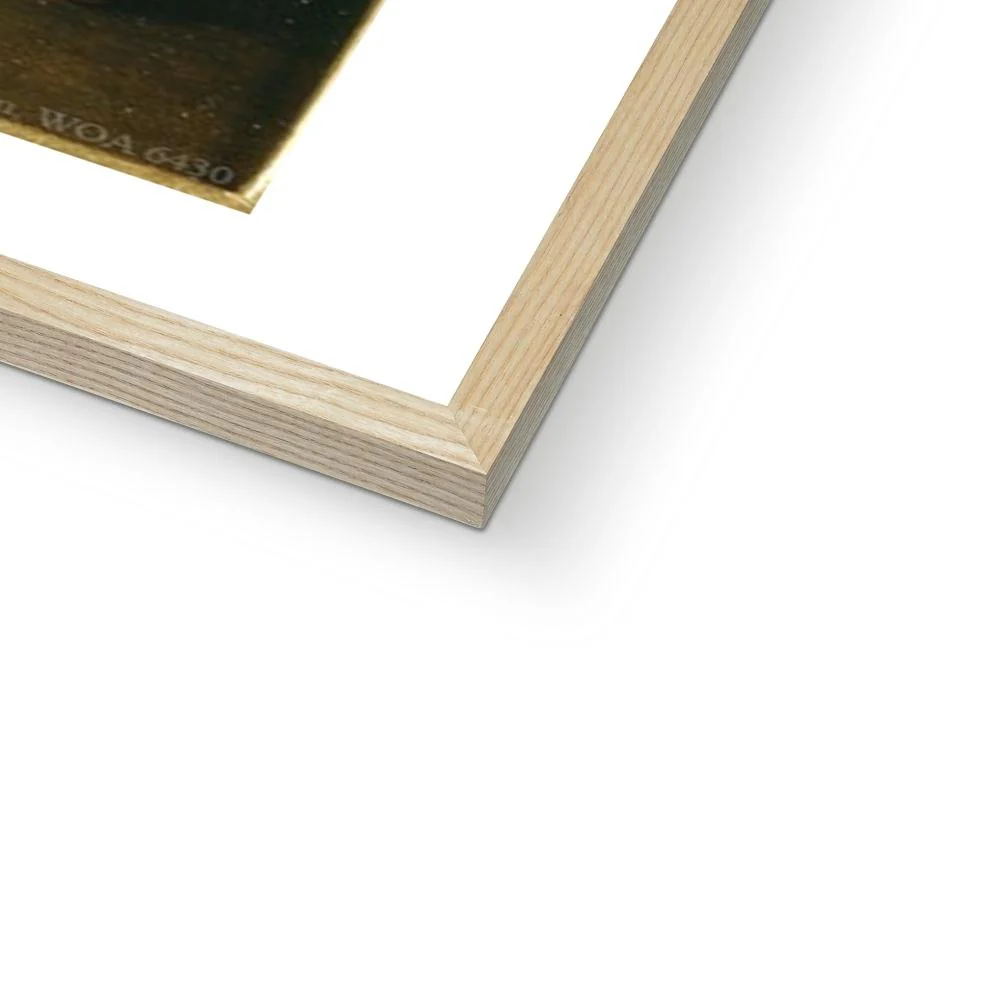William Pitt, by Henry Edridge Framed Print - Image 6